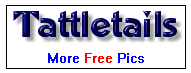 Tattletails